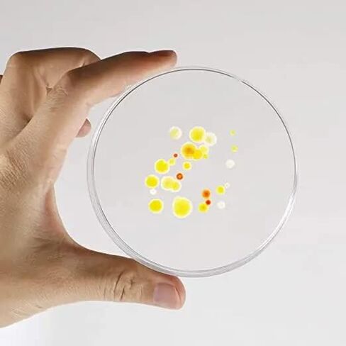 طبق بيتري من البوليستيرين 60 × 15 مم، معقم، عبوة من 10 قطع in Kuwait