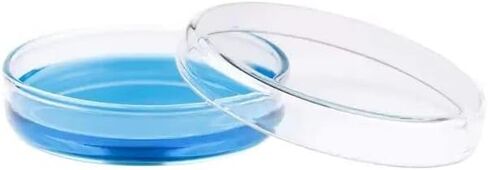 طبق بيتري من البوليستيرين 60 × 15 مم، معقم، عبوة من 10 قطع in Kuwait