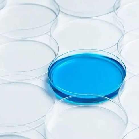 طبق بيتري من البوليستيرين 60 × 15 مم، معقم، عبوة من 10 قطع in Kuwait