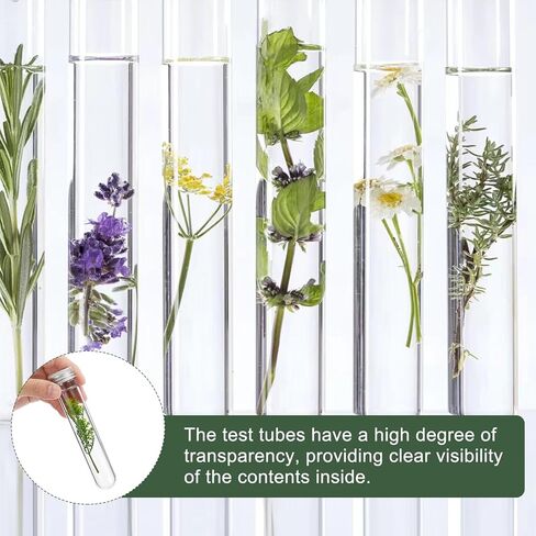 YOKIVE 80 قطعة أنبوب اختبار بلاستيكي 45 مل مع أغطية لولبية، غطاء ألومنيوم | رائعة لتزيين المنزل، والمختبر، والاستخدام اليومي (شفاف، 140 × 25 مم) in Kuwait