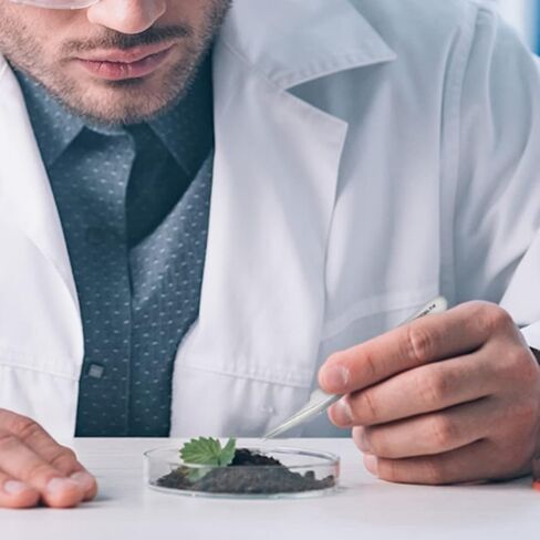 Excelta - 5A-SA-SE - ملاقط - نقطة فائقة الدقة - إزاحة - نجمة واحدة - مضاد للماج. SS، الارتفاع 0.06 بوصة، العرض 0.3930 بوصة، الطول 4.5 بوصة in Kuwait