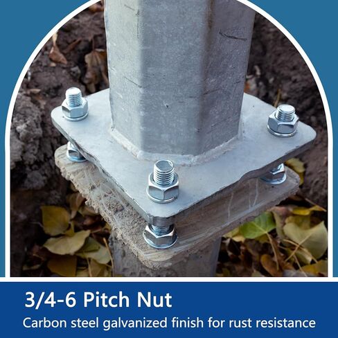 Pelopy 8 Pcs 3/4-6 Stainless Hex Nut Pitch Nut Hardware Fastener Kit Machine Screw Hex Nut for Automotive Construction Machinery Repairs Corrosion Resistance Home Office Easy to Install in Saudi Arabia