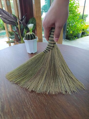 Small Brush Broom,Handmade Turkey Wing Whisk Broom 12" for Cleaning,Sturdy Soft Brush for Indoor and Outdoor Use, Bristle Design Cleans Dust and Car in Kuwait