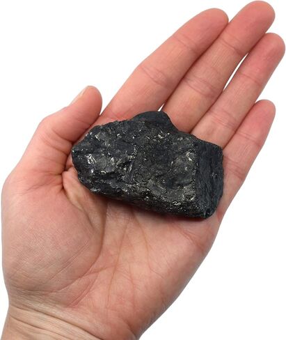 Raw Anthracite Coal, Metamorphic Rock Specimen - Hand Sample - Approx. 3" - Geologist Selected & Hand Processed - Great for Science Classrooms - Eisco Labs in Saudi Arabia