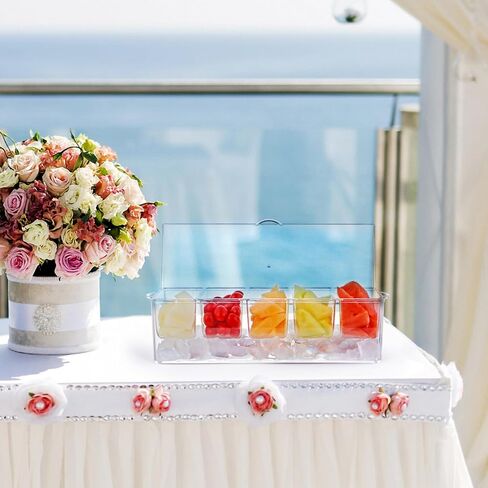 Chilled Serving Tray, Ice Party Platter with Lid, 4 Compartments Appetizer Serving Tray on Ice in Kuwait