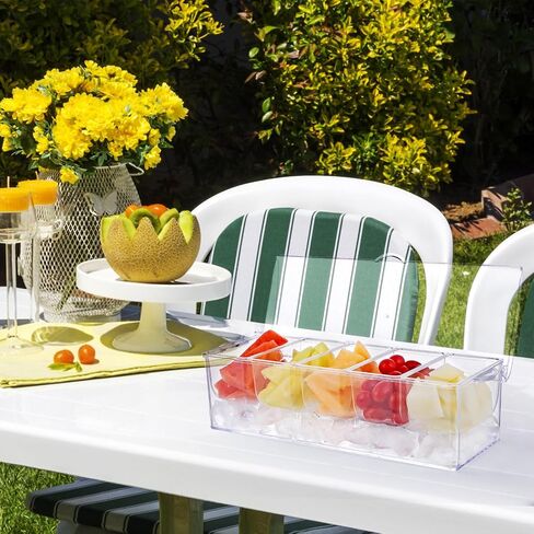 Chilled Serving Tray, Ice Party Platter with Lid, 4 Compartments Appetizer Serving Tray on Ice in Kuwait