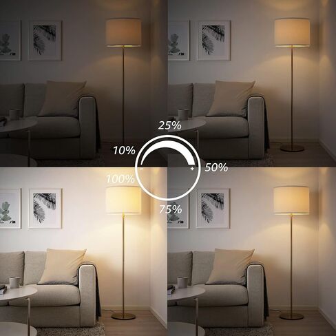 Dimmable LED Edison Bulbs 40 Watts Equivalent, 4 Watt LED Filament Bulb, 2200K Amber Light ST19 Light Bulb, 450LM E26 Vintage LED Bulbs for Light Fixtures 12 Pack in Kuwait