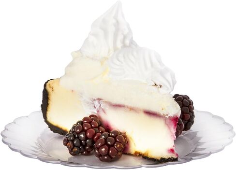 Premium Hard Plastic Round White Plates – 50 x 6" -Washable & Reusable - Party Supplies For Birthdays, Celebrations, Buffets, Fiestas, Catering & More in Kuwait