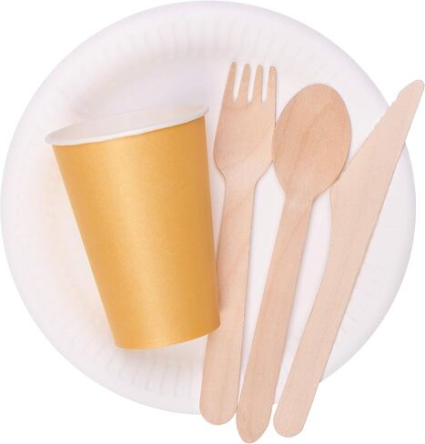 ملاعق أدوات مائدة خشبية للاستعمال مرة واحدة من شركة Concession Essentials، قابلة للتحلل وصديقة للبيئة، بطول 16.25 سم - عبوة مكونة من 100 ملعقة in Kuwait