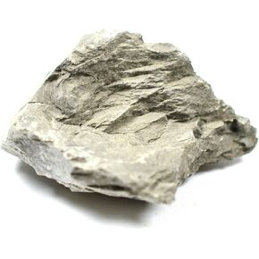 EISCO Argillaceous Shale Specimen (Sedimentary Rock), Approx. 1" (3cm) - Pack of 12 in Saudi Arabia