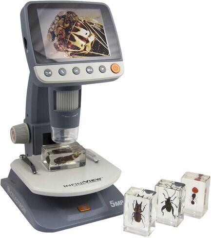 Celestron – Real 3D Bugs in Clear Resin – 4pc Set includes Scorpion, Stag Beetle, Longhorn Beetle, and Fire Bug – Perfect for Science Eduction and Classroom – Use with Digital and Stereo Microscopes in Saudi Arabia