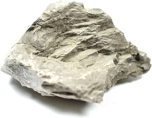 عينة EISCO Argillaceous Shale (الصخور الرسوبية)، تقريبًا. 1 بوصة (3 سم) - عبوة من 12 قطعة in Saudi Arabia