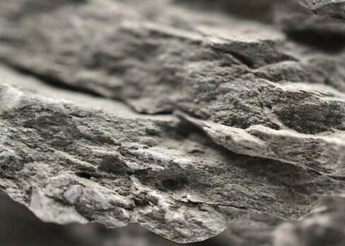 عينة EISCO Argillaceous Shale (الصخور الرسوبية)، تقريبًا. 1 بوصة (3 سم) - عبوة من 12 قطعة in Saudi Arabia