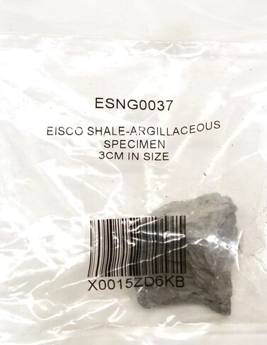 عينة EISCO Argillaceous Shale (الصخور الرسوبية)، تقريبًا. 1 بوصة (3 سم) - عبوة من 12 قطعة in Saudi Arabia