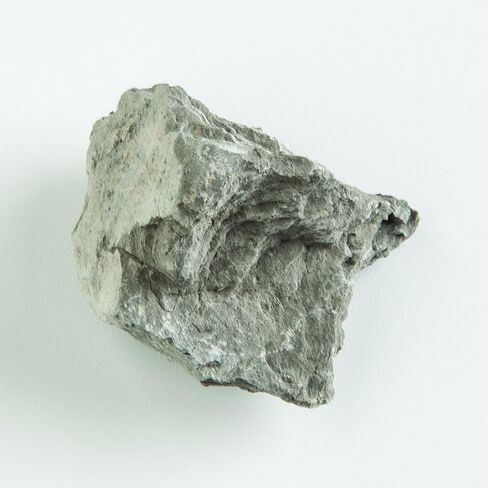 عينة EISCO Argillaceous Shale (الصخور الرسوبية)، تقريبًا. 1 بوصة (3 سم) - عبوة من 12 قطعة in Saudi Arabia