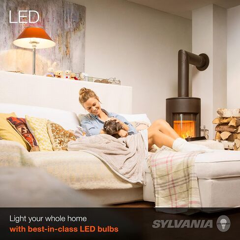 لمبة الإضاءة SYLVANIA LED A19، ما يعادل 100 وات، كفاءة 16 وات، قابلة للتعتيم، 1600 لومن، متجمد، 5000 ك، ضوء النهار - 4 عبوات (40739) in Kuwait
