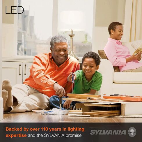 لمبة الإضاءة SYLVANIA LED A19، ما يعادل 100 وات، كفاءة 16 وات، قابلة للتعتيم، 1600 لومن، متجمد، 5000 ك، ضوء النهار - 4 عبوات (40739) in Kuwait