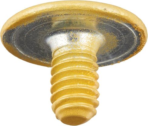 LCN 4110159SB 4110-159 696 Sprayed Brass Arm Screw in Saudi Arabia