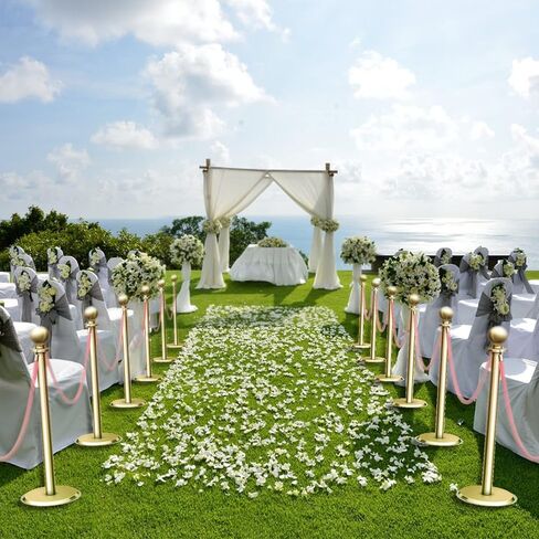 Vevitts 4 قطع من الحبل المخملي الوردي بطول 6.4أقدام، حاجز حبال التحكم في الحشود مع خطافات ذهبية مصقولة، حبل حاجز طابور سميك من vevitts in Kuwait