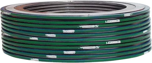 حشية جرح حلزونية من الفولاذ المقاوم للصدأ 9000IR1316PTFE300X12 316L مع حلقة داخلية 316SS وحشو PTFE لأنبوب 1 بوصة، فئة الضغط 300#، شريط أخضر مع شريط أبيض (عبوة من 12 قطعة) in Saudi Arabia