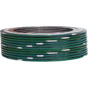 حشية جرح حلزونية من الفولاذ المقاوم للصدأ 9000IR10316PTFE2500X12 316L مع حلقة داخلية 316SS وحشو PTFE لأنابيب 10 بوصة، فئة الضغط 2500#، شريط أخضر مع شريط أبيض (عبوة من 12) in Kuwait