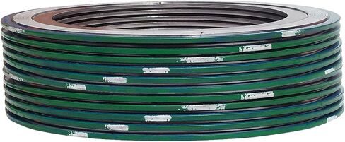 حشية جرح حلزونية من الفولاذ المقاوم للصدأ 9000IR5316PTFE300X12 316L مع حلقة داخلية 316SS وحشو PTFE لأنابيب 5 بوصات، فئة الضغط 300#، شريط أخضر مع شريط أبيض (عبوة من 12 قطعة) in Saudi Arabia