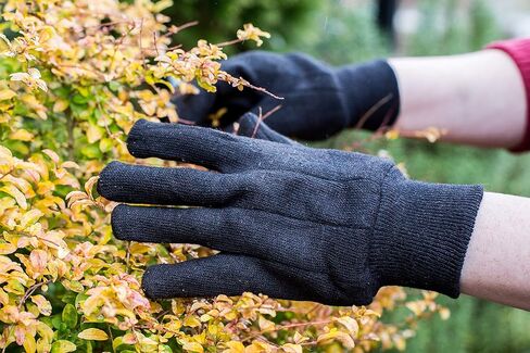 جي اند اف قفازات قماش جورسيه بني, كبير in Kuwait