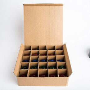 Hometown Evolution, Inc. Box of 25 ST11 Clear 5 Watt C7 Base Replacement Bulbs