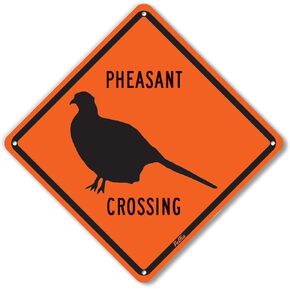 لافتات ورسومات PetKa PKAC-0122-NA_10x10 لافتة ألومنيوم "Pheasant Crossing"، 25.4 سم × 25.4 سم، أبيض على مموه برتقالي in Kuwait