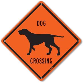 PetKa Signs and Graphics PKAC-0068-NA_10x10 "Dog Crossing" Aluminum Sign, 10" x 10", Black on Orange in Saudi Arabia
