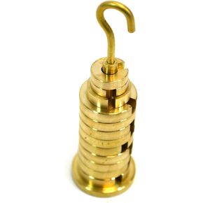 Eisco Labs Brass Slotted Set of Masses and Hanger (50g Hanger, Two 5g Discs, one 10g disc, and Nine 20g Discs - Overall Mass 250g) in Saudi Arabia