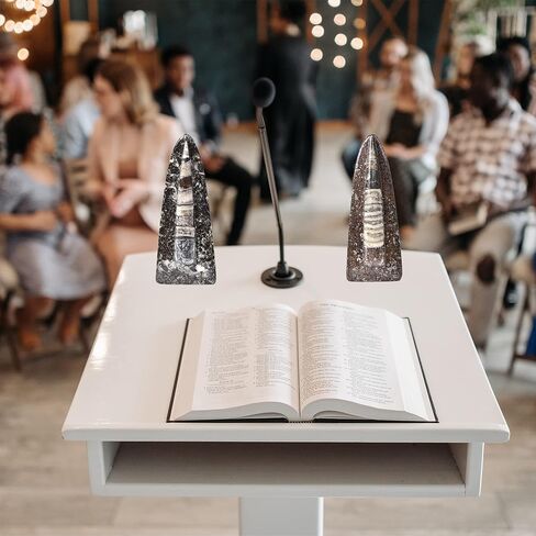 جي اي سي جيم اورثوسيراس فوسيل فروم موروكو (5-6 انش) in Kuwait