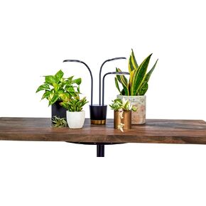 AeroGarden Trio تنمو ضوءًا للنباتات الداخلية، تنمو النباتات الحية في أي مكان في المنزل، أوضاع إضاءة قابلة للتعديل، أسود in Kuwait