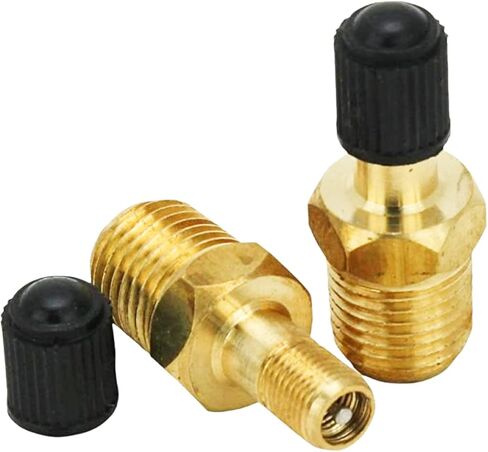 Milton S-684-4 1/4" MNPT Male Tank Valve, includes Protective Caps (Pack of 2) in Saudi Arabia