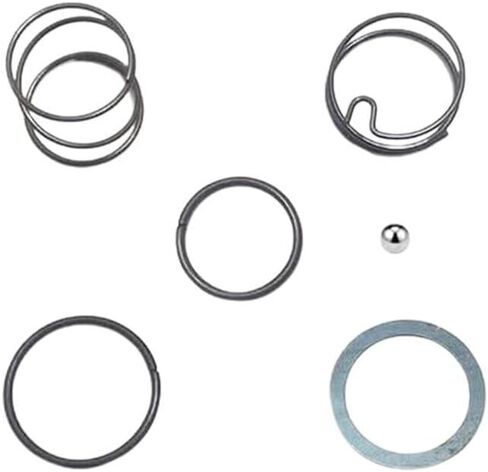 2 SET N078434 N089668 Spring Kits with Steel Ball for Dewalt Impact DCF885 DCF886 in Kuwait