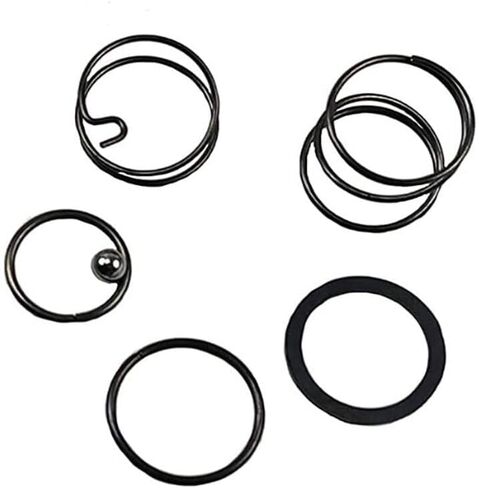 2 SET N078434 N089668 Spring Kits with Steel Ball for Dewalt Impact DCF885 DCF886 in Kuwait