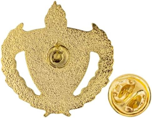 SHOP AWARDS AND GIFTS HP Series 1 Inch Lapel Pins in Kuwait