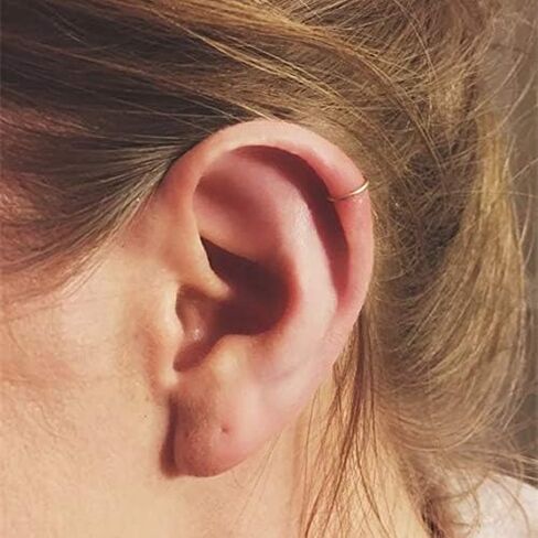 NZDLM Hoop Cartilage Earring Fake Earrings Nose Rings Septum Nose Ring Stainless Steel for Women Men Girls in Kuwait