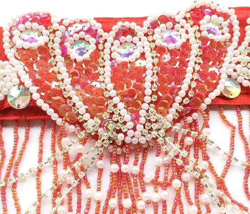 ROYAL SMEELA Belly Dance Costume for Women Tribal Belly Dance Bra and Belt Sexy Professional Dancing Suit Carnival Bra Belt in Kuwait