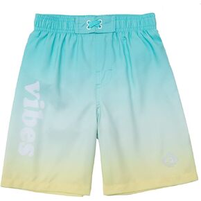 Rokka&Rolla Boys‘ Swim Trunks Toddler Quick Dry UPF 50+ Beach Shorts Little Kids Bathing Suit Swimwear (2T-5T)