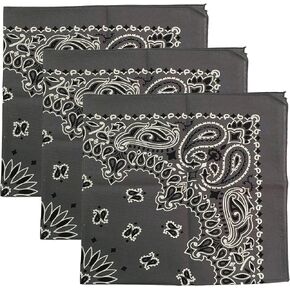 USA Made Military Army Trainmen Paisley 22 / Hav A Hank Paisley Bandana Made in USA (Set of 3) in Kuwait