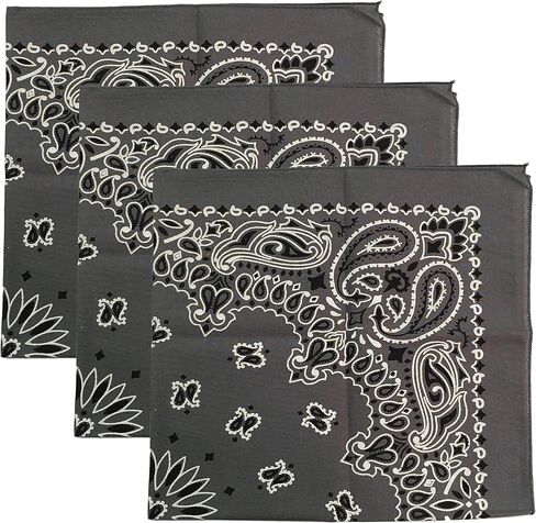 USA Made Military Army Trainmen Paisley 22 / Hav A Hank Paisley Bandana Made in USA (Set of 3) in Kuwait