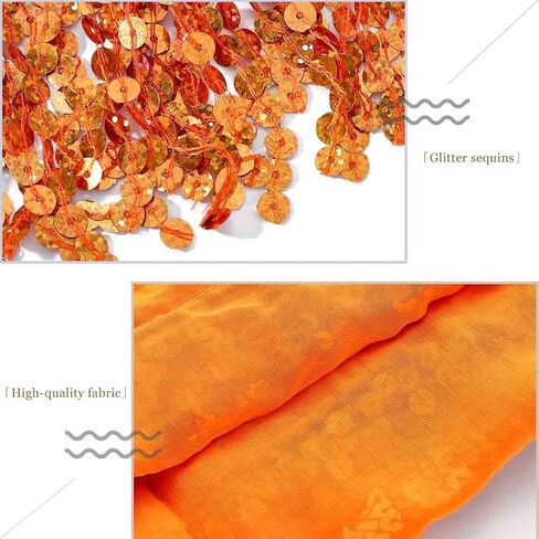 DRESBE Sequin Fringe Skirt Sparkly Belly Dance Hip Scarf Tassel Waist Wrap Belt Skirts Party Rave Costume for Women and Girls in Kuwait