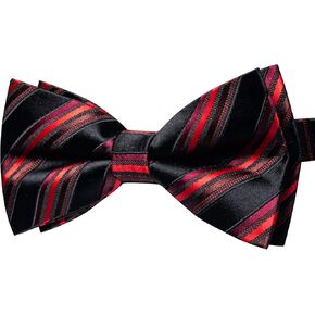 YourTies Pre-Tied Bow Ties for Men Silk Paisley Striped Bowtie Party Wedding Bowties