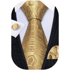 Barry.Wang Mens Ties Paisley Necktie Pocket Square Cufflinks Set Formal Wedding Business