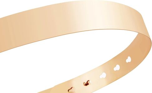 BABEYOND Metal Waistband Skinny Belt Adjustable Waist Strap Belt for Dress in Saudi Arabia