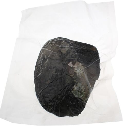 محار مع لؤلؤ داخلي، خرز لؤلؤ بيضوي مستزرعة (5-7 ملم حوالي 18 قطعة لؤلؤة) هدايا in Kuwait