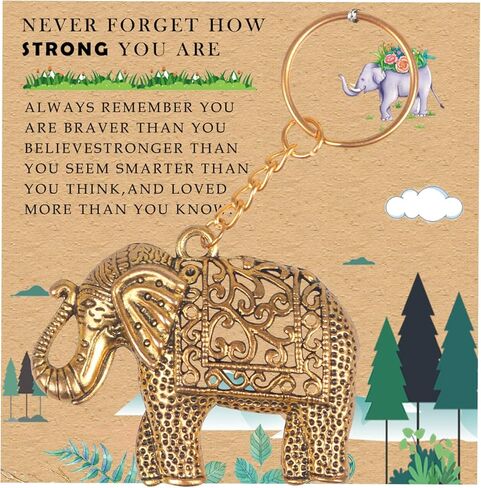 اكسسوارات سلسلة مفاتيح من برفايرل مع ديكور فيل هي هدايا فريدة للرجال او هدايا مضحكة للنساء، سلسلة مفاتيح رائعة للرجال، مجموعة سلاسل مفاتيح لطيفة للنساء، لون برونزي، مقاس واحد, برونزي in Kuwait