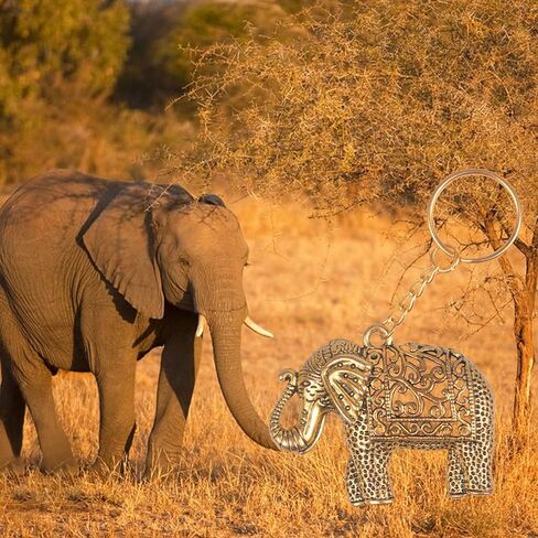 اكسسوارات سلسلة مفاتيح من برفايرل مع ديكور فيل هي هدايا فريدة للرجال او هدايا مضحكة للنساء، سلسلة مفاتيح رائعة للرجال، مجموعة سلاسل مفاتيح لطيفة للنساء، لون برونزي، مقاس واحد, برونزي in Kuwait