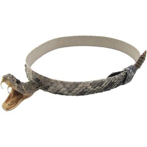 Treasure Gurus Eastern Diamondback Rattlesnake Western Cowboy Hat Band Genuine Head Rattle Snakeskin Real Taxidermy in Kuwait